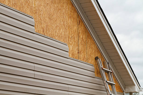 Professional Wood Siding technician working in Ashland, KY